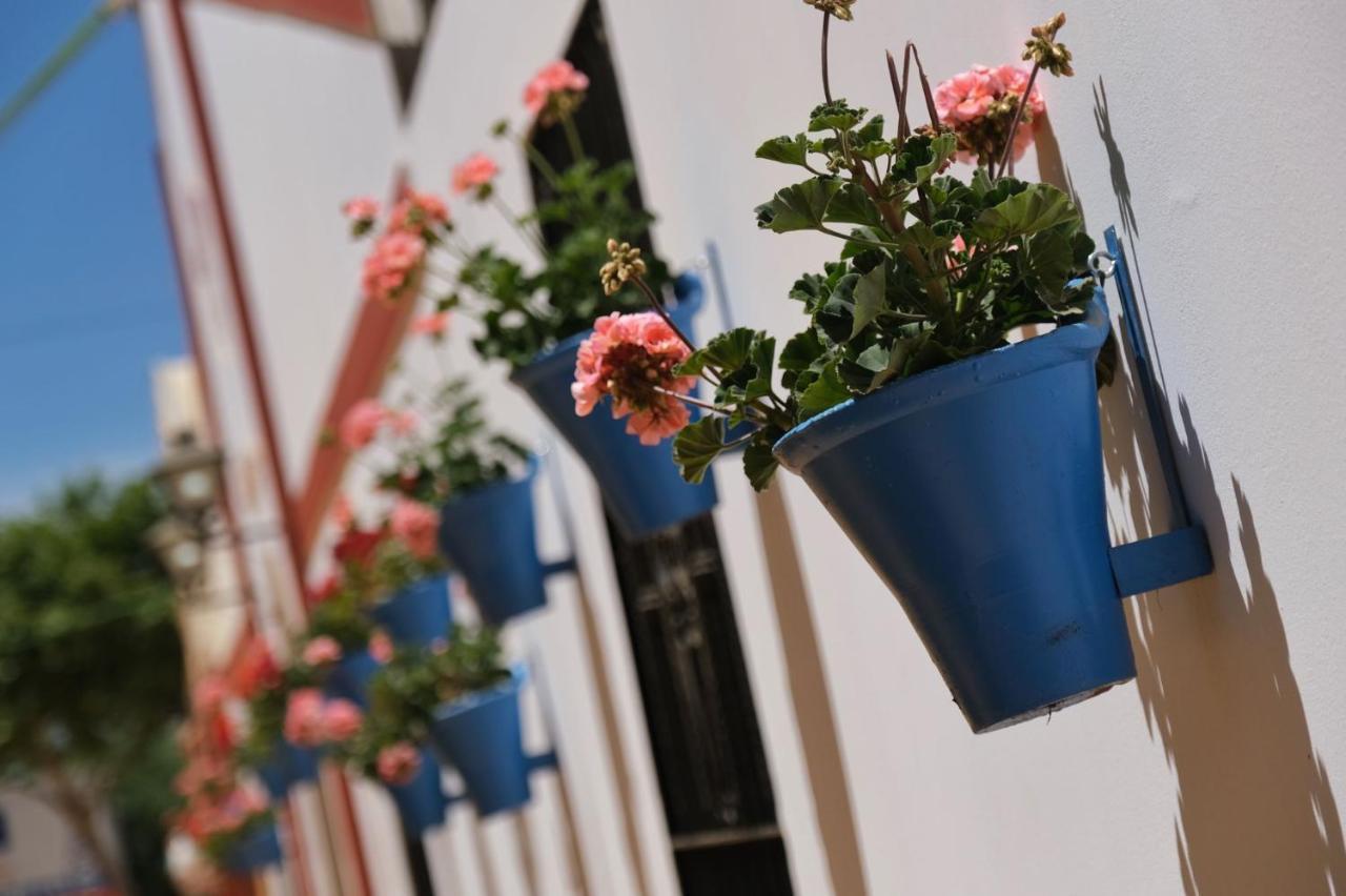 Apartamento La Estrella コルドバ エクステリア 写真